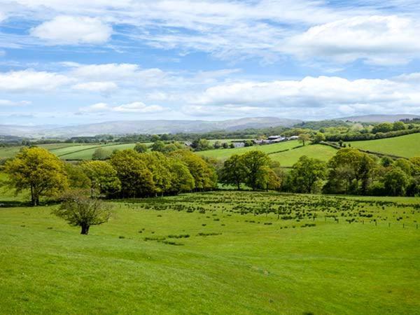 Black Mountain View Llanafan-fawr Luaran gambar